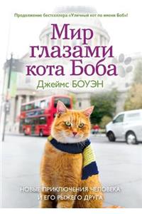 Мир глазами кота Боба. Новые приключения 
