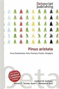 Pinus Aristata