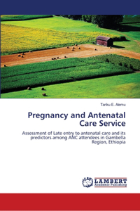 Pregnancy and Antenatal Care Service