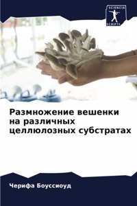 Размножение вешенки на различных целлюло