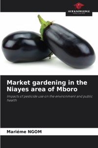 Market gardening in the Niayes area of Mboro