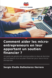 Comment aider les micro-entrepreneurs en leur apportant un soutien financier ?
