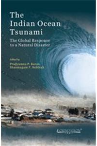 The Indian Ocean Tsunami