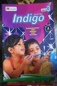 Indigo 2020 Class 3 Term 3
