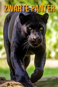 Zwarte Panter