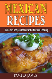 Mexican Recipes