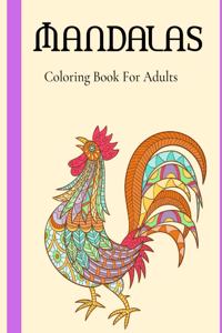 Mandalas Coloring Book For Adults: Stress Relieving Designs Animals, Coloring Book For Adults, Stress Relieving Mandala Designs For Adults Relaxation_Adult Coloring Book has fun, easy