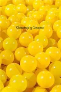 Kilometraje y Consumo