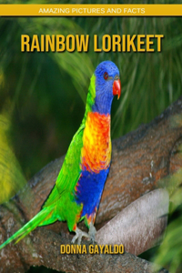 Rainbow lorikeet