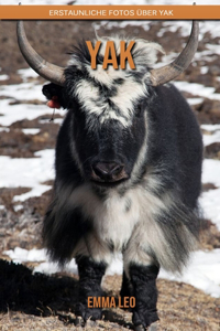 Yak