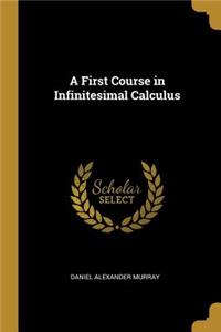 A First Course in Infinitesimal Calculus