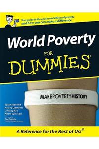 World Poverty for Dummies