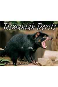 Tasmanian Devils