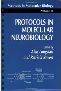 Protocols in Molecular Neurobiology