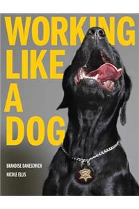 Working Like A Dog