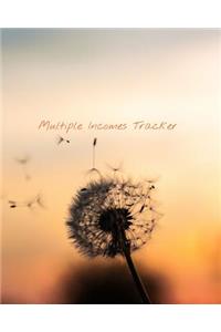 Multiple Incomes Tracker
