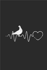Pigeon Heartbeat