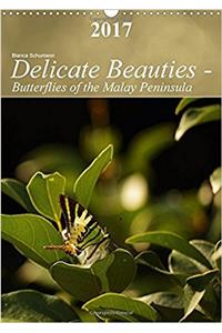 Delicate Beauties - Butterflies of the Malay Peninsula 2017