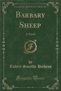 Barbary Sheep