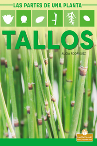 Tallos (Stems)