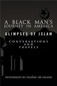 Black Man's Journey in America