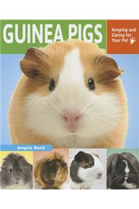 Guinea Pigs