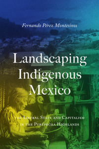 Landscaping Indigenous Mexico