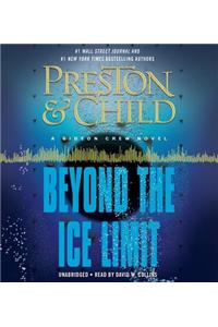 Beyond the Ice Limit