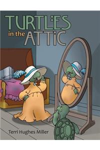 Turtles in the Attic