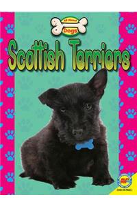 Scottish Terriers
