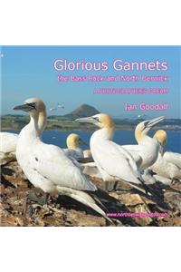 Glorious Gannets, the Bass Rock and North Berwick