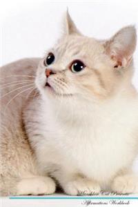 Munchkin Cat Affirmations Workbook Munchkin Cat Presents