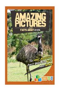 Amazing Pictures and Facts about Emus