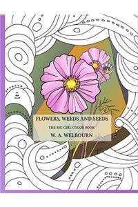 Flowers, Weeds and Seeds - The Big Girl Color Book