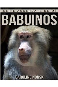 Babuinos