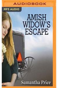 Amish Widow's Escape