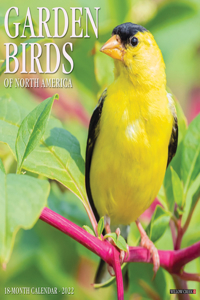 Garden Birds 2022 Wall Calendar