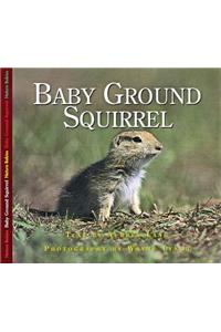 Baby Ground Squirrel