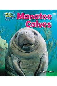 Manatee Calves