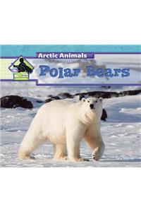 Polar Bears