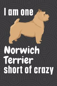 I am one Norwich Terrier short of crazy