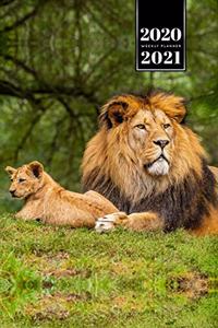 Lion Week Planner Weekly Organizer Calendar 2020 / 2021 - Father and Son