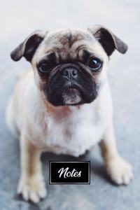 Pug Dog Pup Puppy Doggie Notebook Bullet Journal Diary Composition Book Notepad - Cute Baby Look