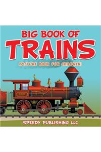 Big Book Of Trains (Picture Book For Children)