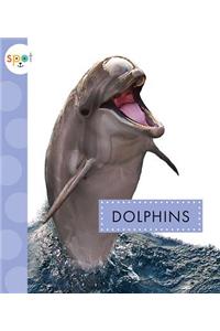 Dolphins
