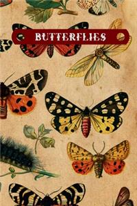 Butterflies