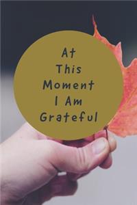 At This Moment I Am Grateful