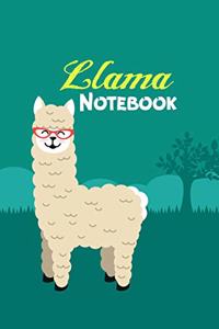 Llama Notebook