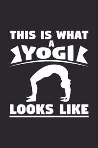 This is what a yogi looks like