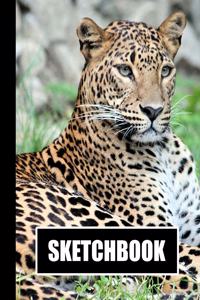 Sketchbook: Leopard Cover Design - White Paper - 120 Blank Unlined Pages - 8.5" X 11" - Matte Finished Soft Cover